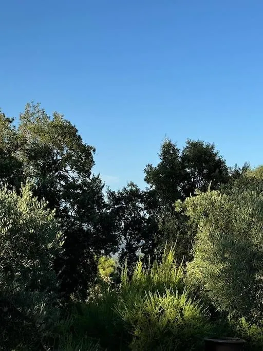 14474 Location Saisonniere Bas De Villa Dans Un Domaine Prive Prestigieux Les Adrets-de-l'Esterel 0*,  Francja